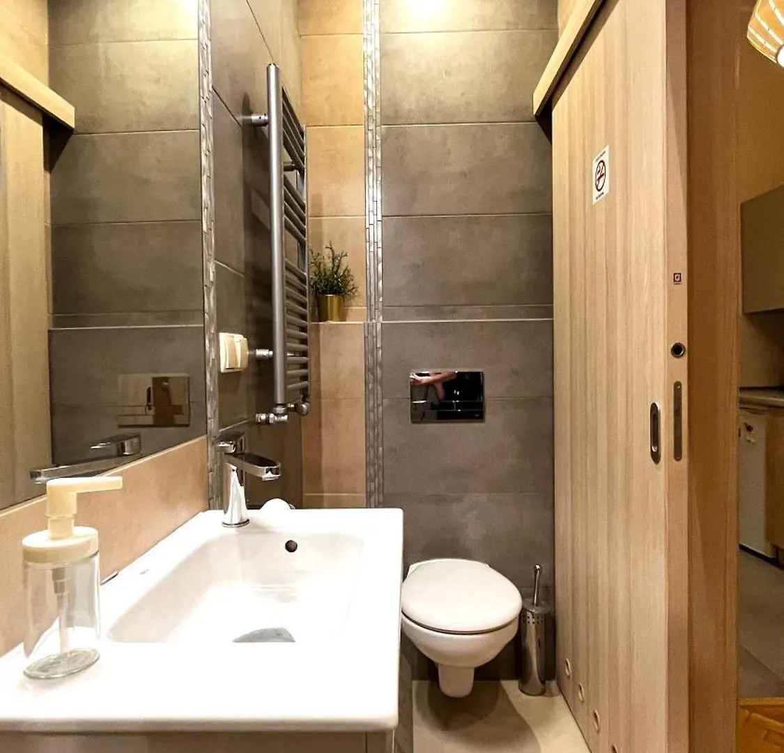 City Center Studio Krakau Apartment